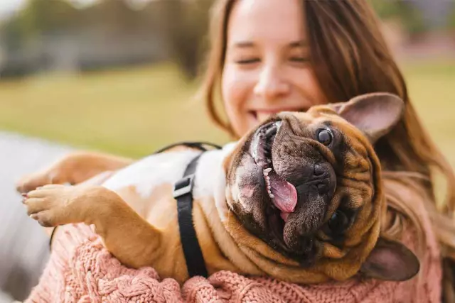 Building a Strong Relationship with Your Dog