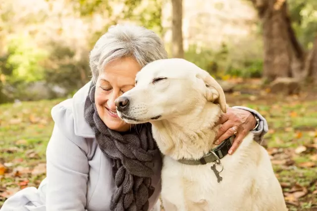 Caring for Senior Cats and Dogs