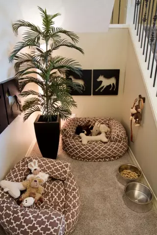 Creating a Comfortable Living Space for Your House Dog