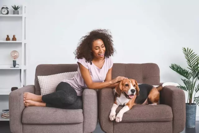 Creating a Dog-Friendly Home: Tips and Ideas