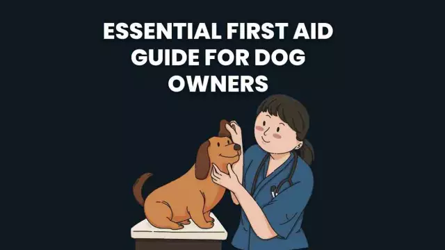 Essential First Aid Techniques for Dog Owners