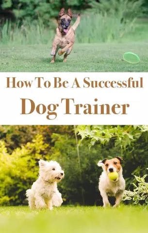 From Puppy to Pro: Stages and Strategies in Successful Dog Training