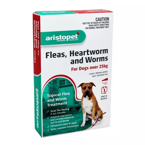 Heartworms, Fleas, and Ticks: The Battle Against External Parasites