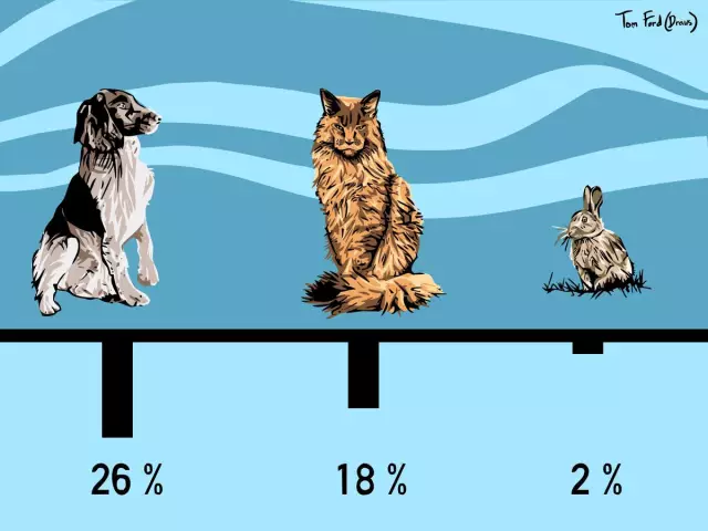 Nutritional Needs of Cats vs. Dogs