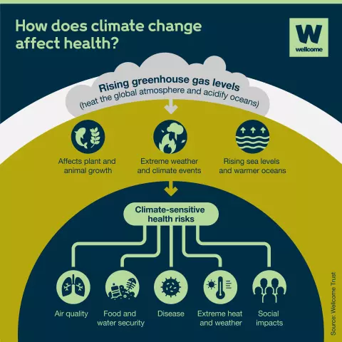 The Impact of Climate Change on Dog Health and Welfare