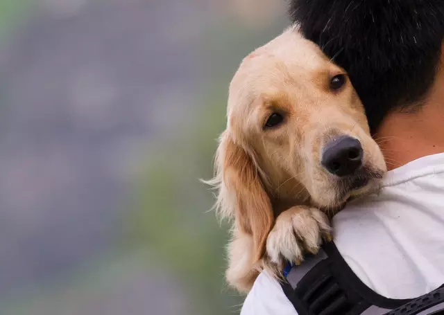 The Science Behind Why Dogs Are Man's Best Friend