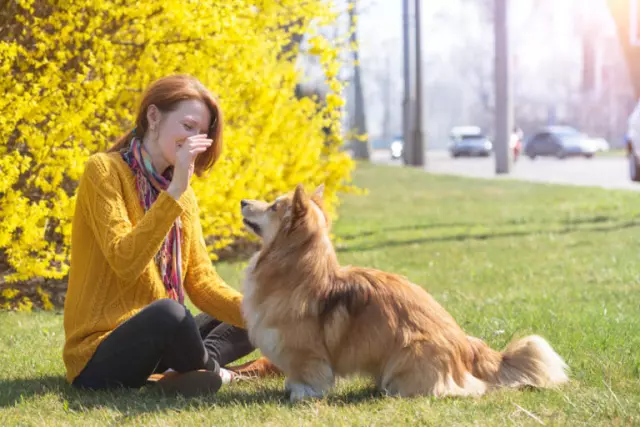 The Science of Canine Behavior: Understanding Your Dog During Training