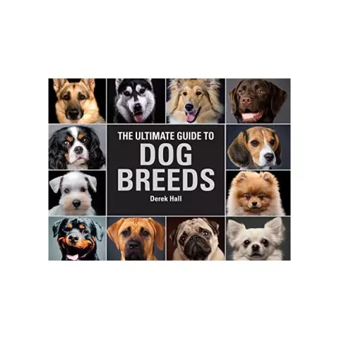 The Ultimate Guide to Dog Breeds